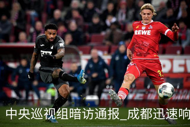 中央巡视组暗访通报 成都迅速响应立案拟顶格处罚