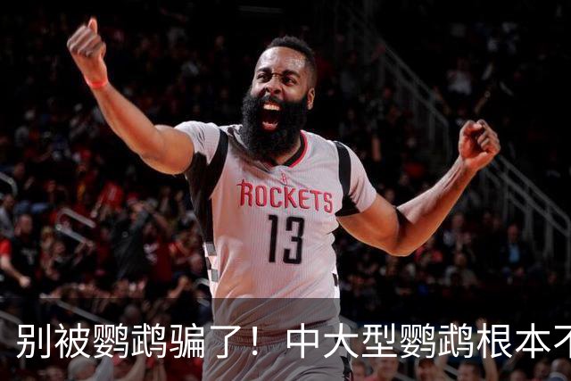 别被鹦鹉骗了！中大型鹦鹉根本不是宠物，是会飞的野生猛禽！
