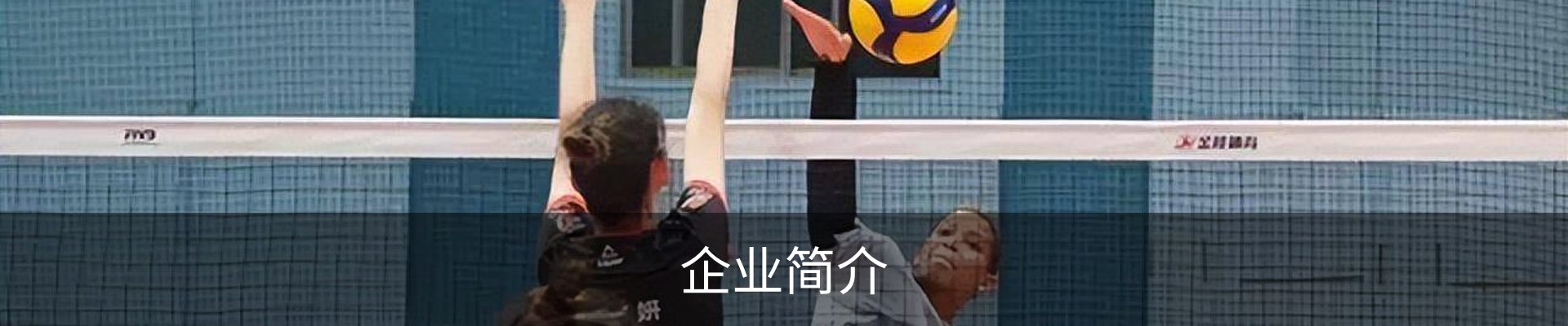 企业简介